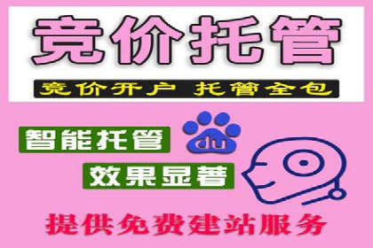 百度竞价代运营公司成功案例分析